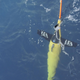 A Seaglider being deployed into the ocean.